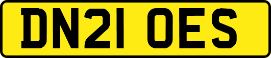 DN21OES