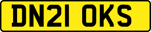 DN21OKS