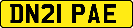 DN21PAE