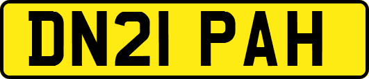 DN21PAH