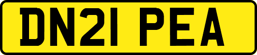DN21PEA