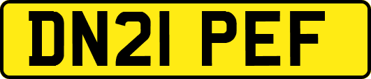 DN21PEF