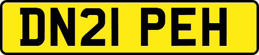 DN21PEH