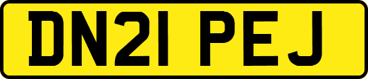 DN21PEJ