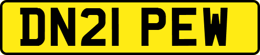 DN21PEW