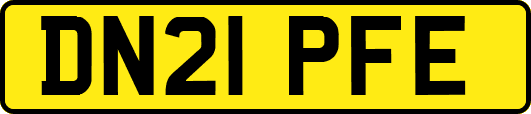 DN21PFE