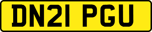 DN21PGU