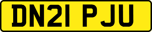 DN21PJU