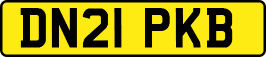 DN21PKB
