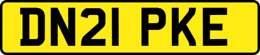 DN21PKE
