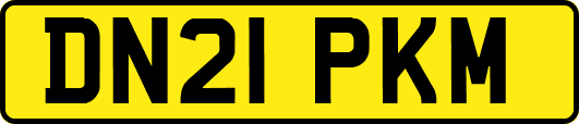 DN21PKM