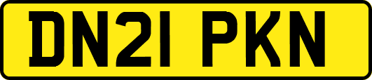 DN21PKN