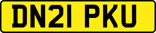 DN21PKU