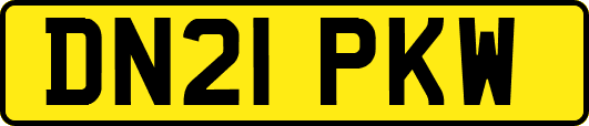 DN21PKW