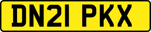 DN21PKX
