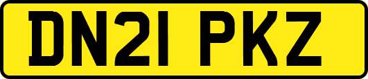 DN21PKZ