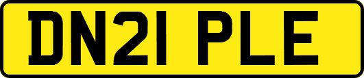 DN21PLE