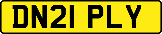 DN21PLY