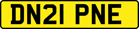 DN21PNE