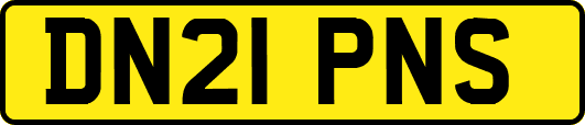 DN21PNS