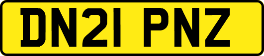 DN21PNZ