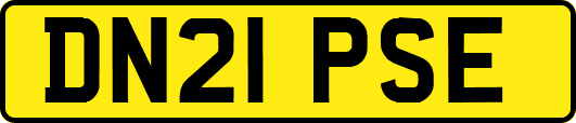DN21PSE