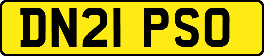 DN21PSO