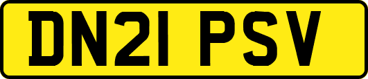 DN21PSV