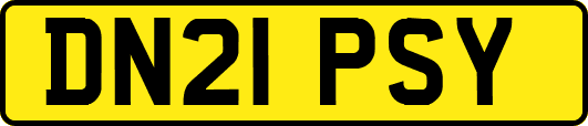 DN21PSY