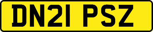 DN21PSZ
