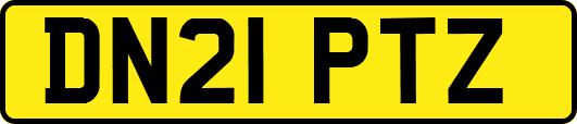 DN21PTZ