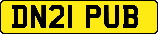 DN21PUB