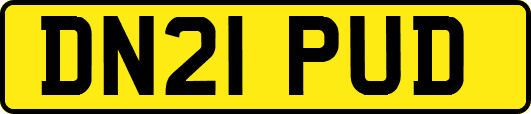 DN21PUD
