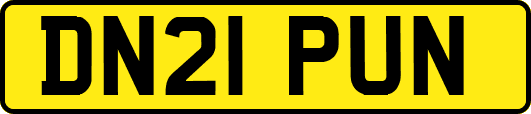 DN21PUN