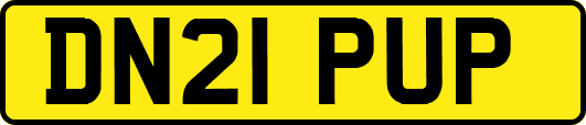 DN21PUP