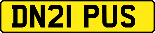 DN21PUS