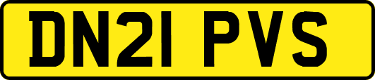 DN21PVS