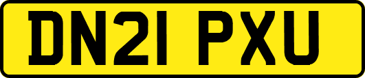 DN21PXU
