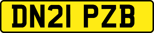 DN21PZB