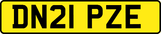 DN21PZE