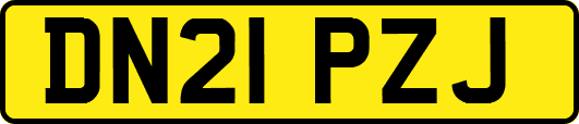 DN21PZJ