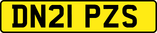 DN21PZS