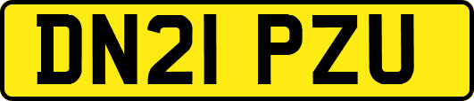 DN21PZU