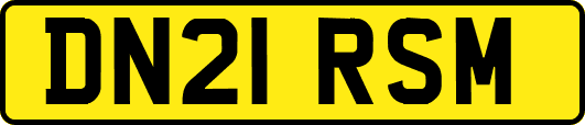 DN21RSM