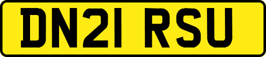 DN21RSU