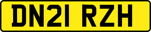 DN21RZH