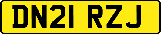DN21RZJ