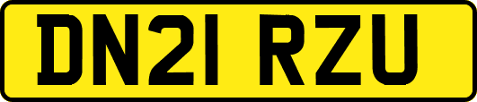 DN21RZU