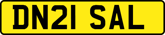 DN21SAL