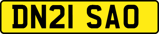 DN21SAO